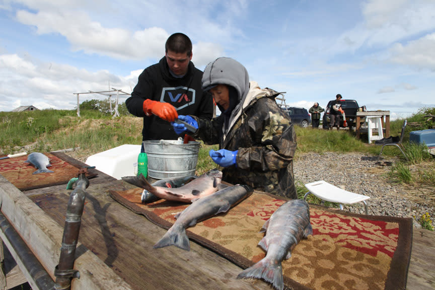 Eric Reimers (l.) and his maternal grand father, Elia Anelon (r.), cleaning their salmon on the shore of Lake Iliamna just as native Alaskans have done for generations.