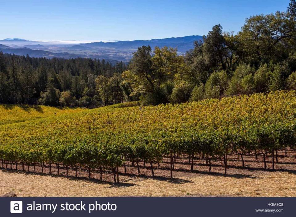 18) Cade Winery: Angwin
