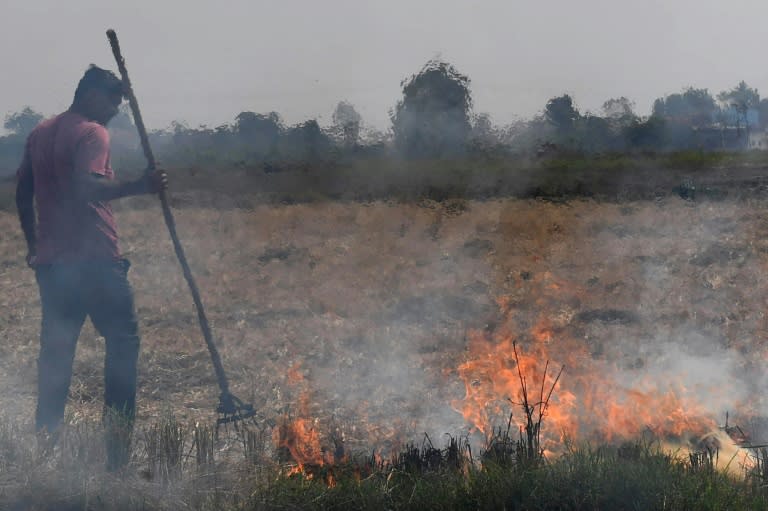 Stubble burning by farmers in breadbasket states surrounding Delhi contribute to lethal smog which makes Indian capital the world's most polluted megacity