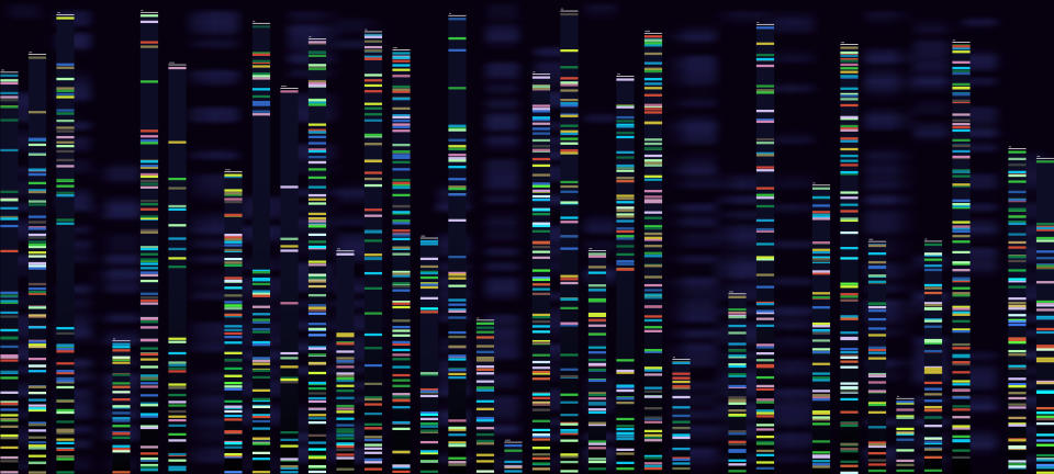 Visualización del análisis del genoma. (Getty Images). 