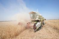 A combine harvester at the middle of a wheat field harvesting crops in Yousifiyah, Iraq Tuesday, May. 24, 2022. At a time when worldwide prices for wheat have soared due to Russia's invasion of Ukraine, Iraqi farmers say they are paying the price for a government decision to cut irrigation for agricultural areas by 50% due to severe water shortages arising from high temperatures, drought, climate change and ongoing water extraction by neighboring countries from the Tigris and Euphrates rivers - all factors that have heavily strained wheat production. (AP Photo/Hadi Mizban)