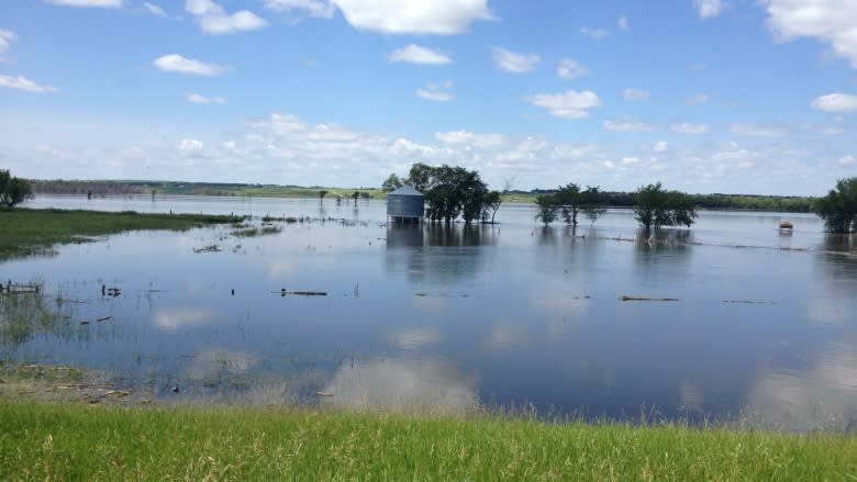 Flood of 2014 a $1B hit for Manitoba farmers: KAP