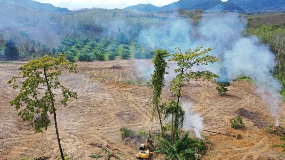 An cleared area of land in Sumatra, Indonesia with smoke rising and rainforest surrounding the location