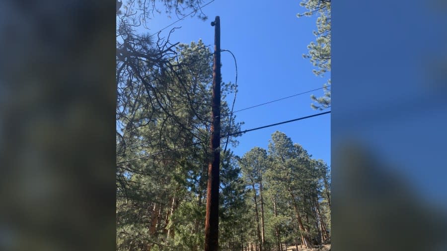 Sunday, Evergreen Fire said sparks from electric lines were the suspected cause of a small wildfire in a yard. The fire spanned 50 feet by 50 feet. (Evergreen Fire Rescue)