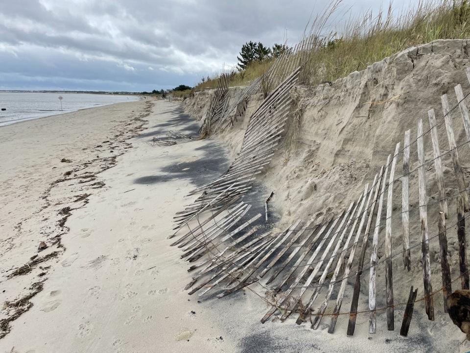 Downed dune fencing near Roosevelt Inlet in Lewes Sept. 24, 2023.