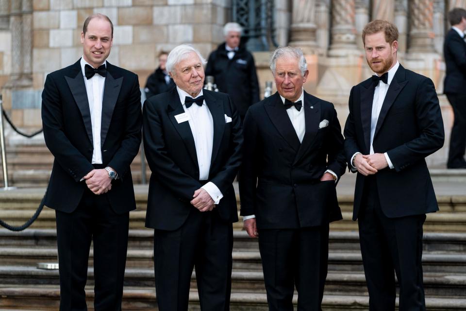 (L-R) Britain's Prince William, Duke of Cambridge, British naturalist, documentary maker and broadcaster David Attenborough, Britain's Prince Charles, Prince of Wales and Britain's Prince Harry, Duke of Sussex, pose upon arrival for the Global Premiere of "Our Planet" in London on April 4, 2019. (Photo by Niklas HALLE'N / AFP)        (Photo credit should read NIKLAS HALLE'N/AFP via Getty Images)