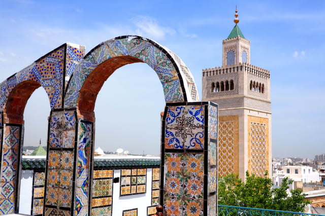 view over tunis medina to the great mosque