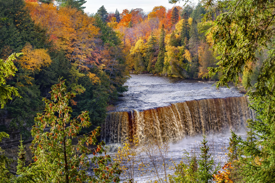 The Tahquamenon Falls in fall