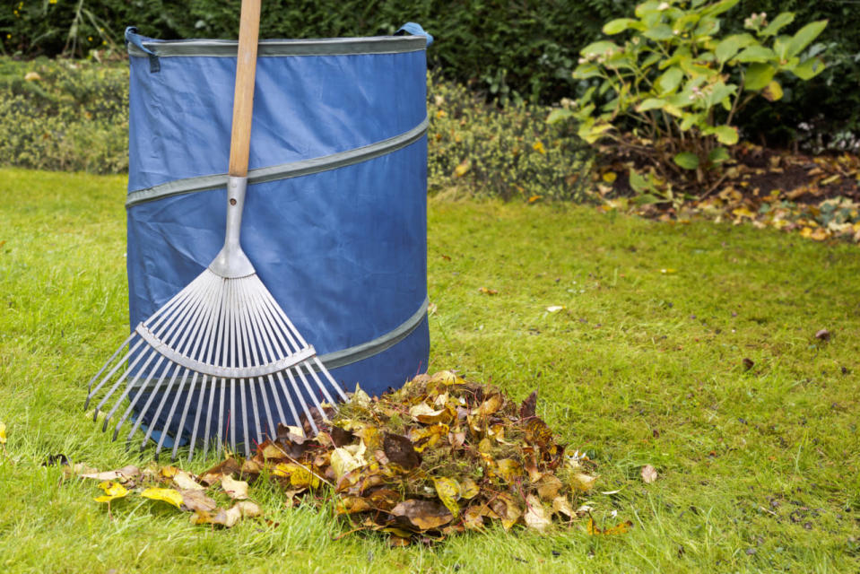 Bagging leaves is terrible for the environment.