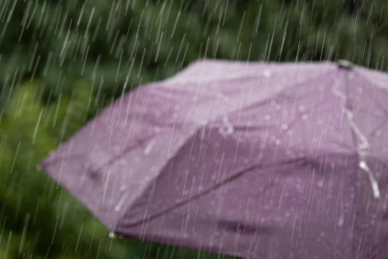 Kidderminster, UK. 3rd September, 2024. UK weather: scattered showers and mostly cloudy conditions greet the Midlands this morning, so the brollies are out! Credit: Lee Hudson/Alamy Live News