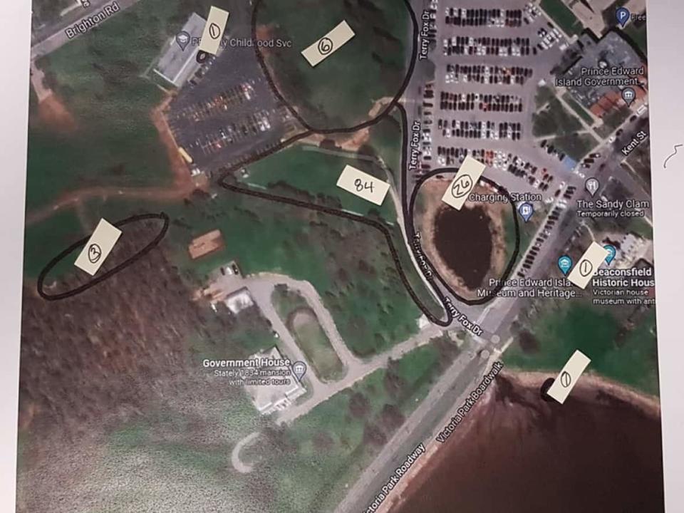 An aerial view of Charlottetown's Victoria Park shows where dead or sick crows have been found. (Submitted by Maryrose Carson - image credit)