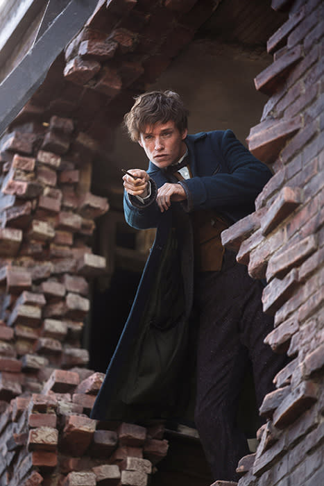 Eddie Redmayne new Fantastic Beasts still