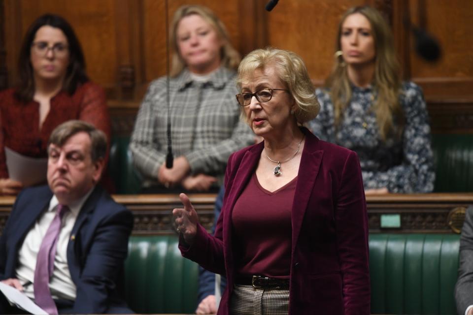 Andrea Leadsom says children’s teeth are  ‘about four-and-a-half years old’ by the time they are three (PA Media)