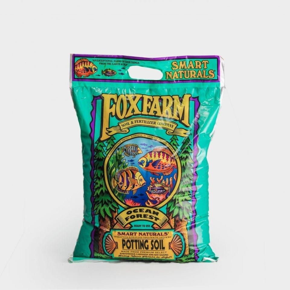 Help your plant grow well with nutrient-rich ingredients like composted forest humus and sphagnum peat moss. Plus, it contains perlite for drainage purposes!<br /><br /><a href="https://greeneryunlimited.co/products/fox-farm-ocean-forest-potting-soil" target="_blank" rel="noopener noreferrer"><strong>Get it from Greenery Unlimited for $16.</strong></a>