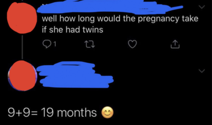 person who thinks twins take 19 months to be born