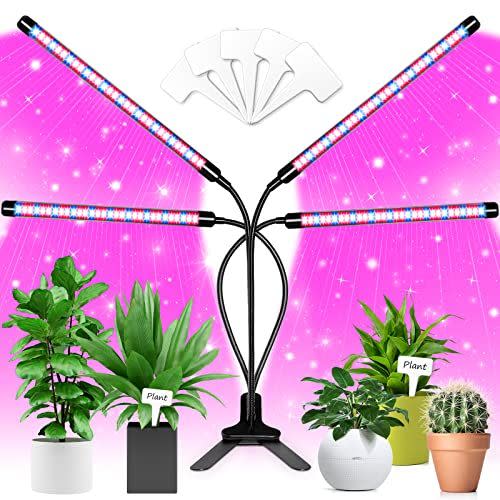 1) Grow Light