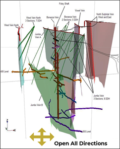 Overview of Foley Gold Mine Vein System