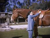 <p>Elizabeth Taylor grew up as a skilled equestrian, which came in handy when she starred in <em>National Velvet </em>as a child. The actress bonded with her costar, King Charles, so much so that MGM bought the show jumper as a 13th <a href="https://www.horseandhound.co.uk/features/national-velvet-why-its-essential-viewing-for-all-horse-lovers-video-518955" rel="nofollow noopener" target="_blank" data-ylk="slk:birthday present;elm:context_link;itc:0;sec:content-canvas" class="link ">birthday present</a> for Elizabeth.</p>