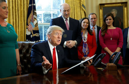 U.S. President Donald Trump speaks before signing an executive order rolling back regulations from the 2010 Dodd-Frank law on Wall Street reform at the White House in Washington February 3, 2017. REUTERS/Kevin Lamarque