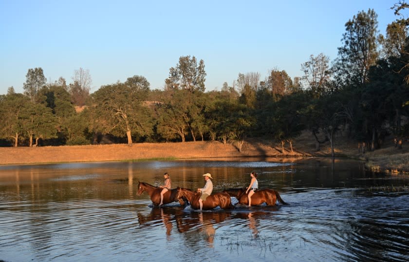 Parkfield,CA - Swimming on Durhan Lake at the V6 Ranch.