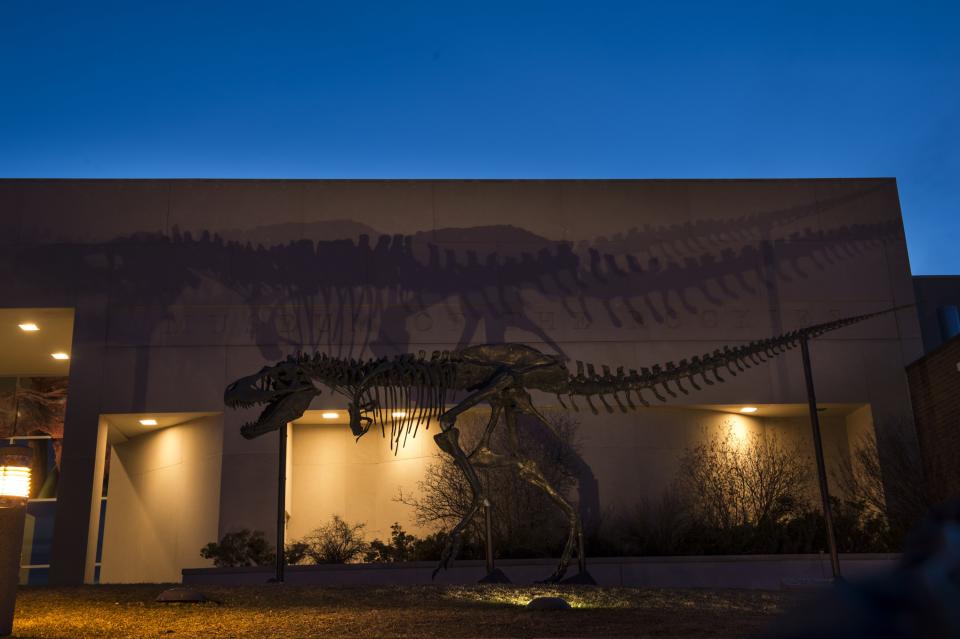 Museum of the Rockies (Bozeman, Montana)