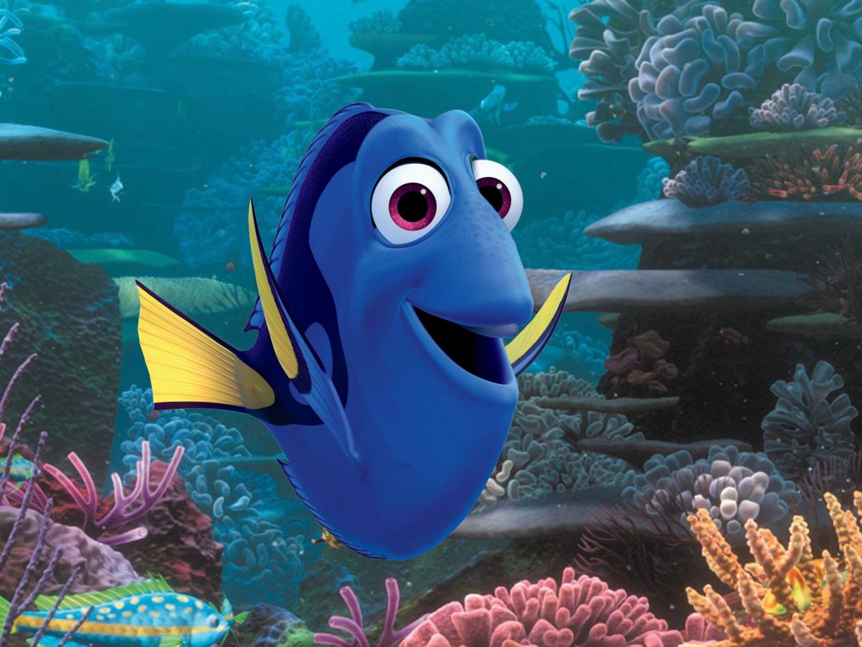 dory finding dory