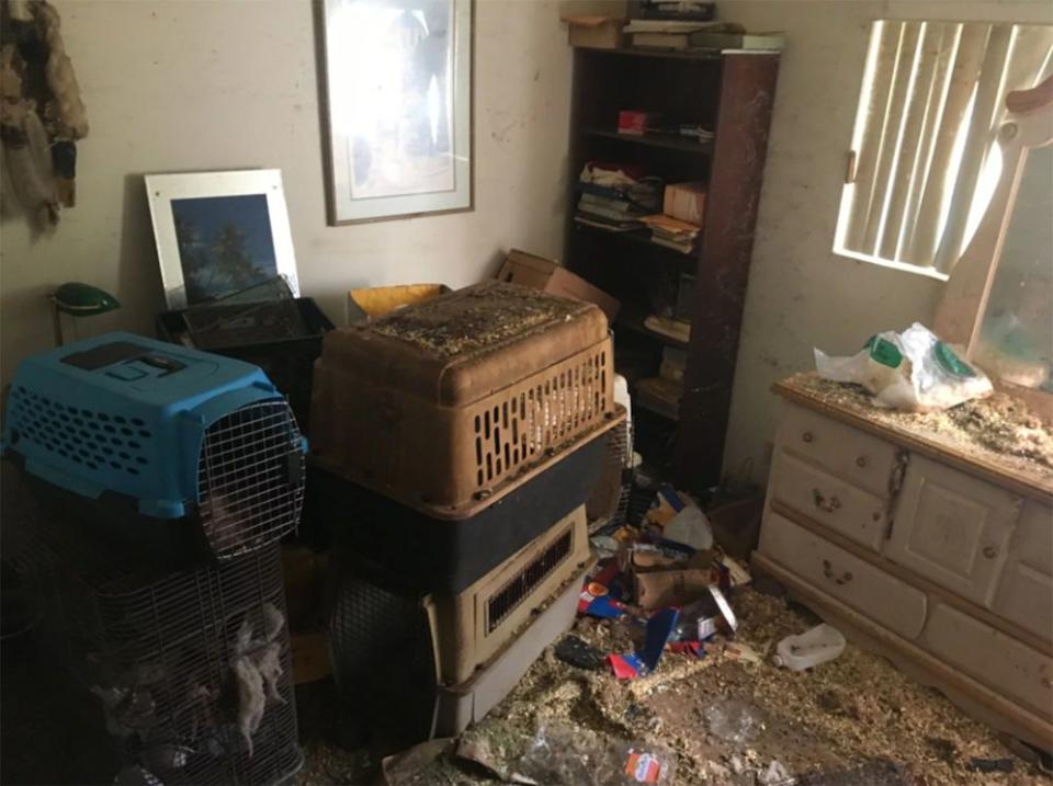 Woman Charged After Dad, 96, Found Living With Hundreds of Rats