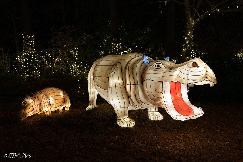 PNC Festival of Lights at Cincinnati Zoo wins Best Zoo Lights for sixth year in a row