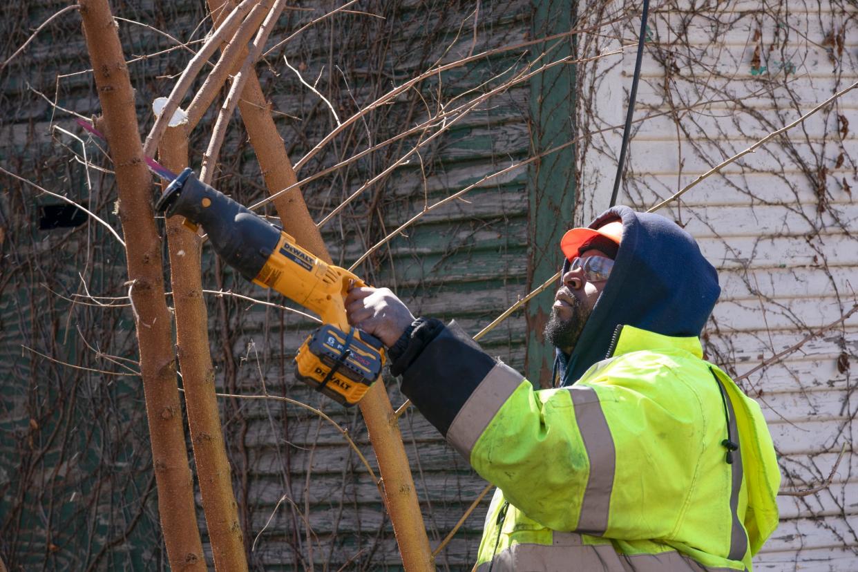 Workers from the Detroit General Services Department work on clearing an alley as city residents and officials celebrate the completion of 3,000 alleys being cleaned of brush, trash and debris. The effort was discussed during a press conference on Thursday, March 28, 2024 in the Russell Woods neighborhood.