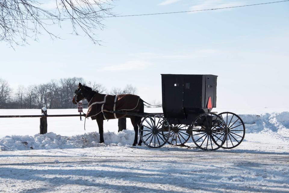 Die Amischen verzichten auf Autos und setzen meist auf Pferdekutschen. (Symbolbild: steverts/Getty Images)