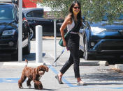 <p>Jordana Brewster flashes a big grin while walking her dog on Wednesday in Santa Monica. </p>