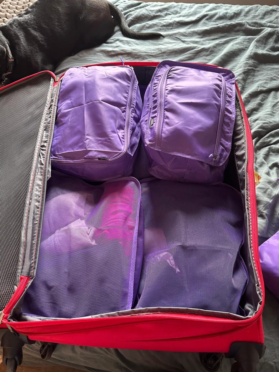 A suitcase full of purple packing cubes,