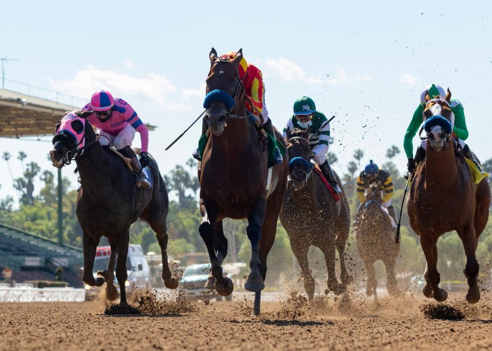 Horses racing at Santa Anita Park.