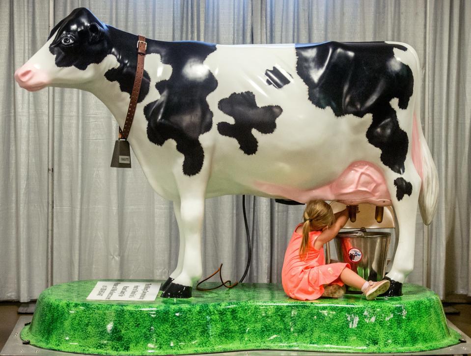 Paityn Oelze, 2, of Manito, tries her hand at milking a cow at the Peoria County Farm Bureau exhibit Wednesday, July 17, 2019 at the HOI Fair.