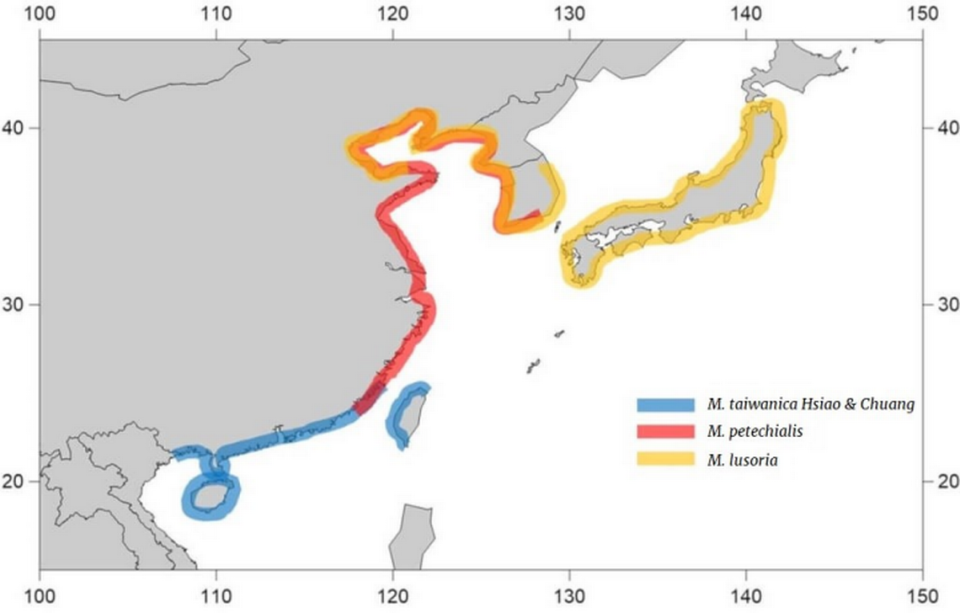 A map shows the different distribution areas of clam species.
