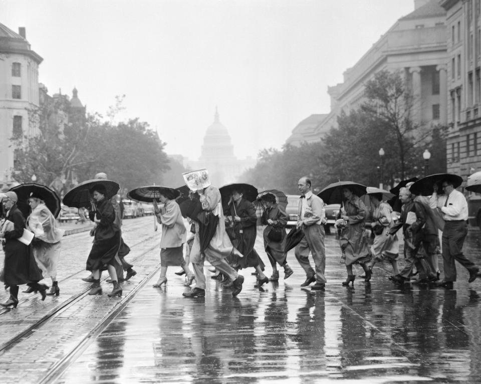 Hazel in Washington, D.C.