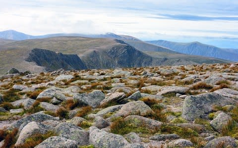 Tackling the highs of the Cairngorm plateau - Credit: iStock