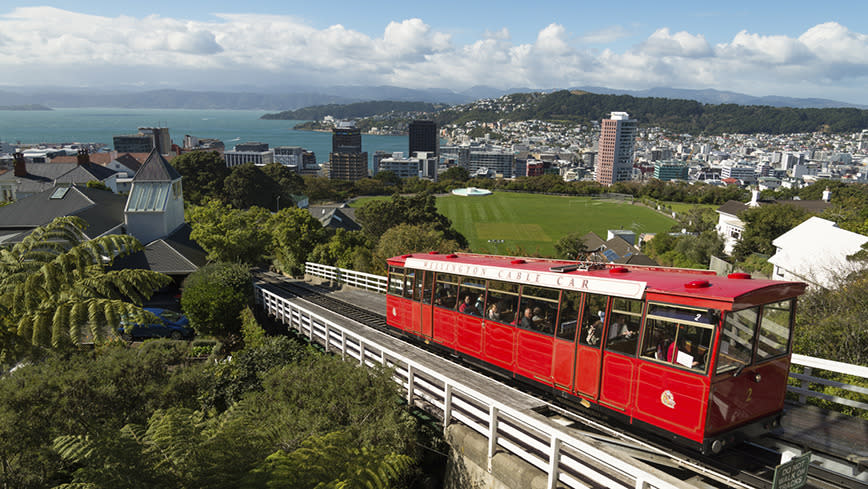 5 reasons to visit Wellington