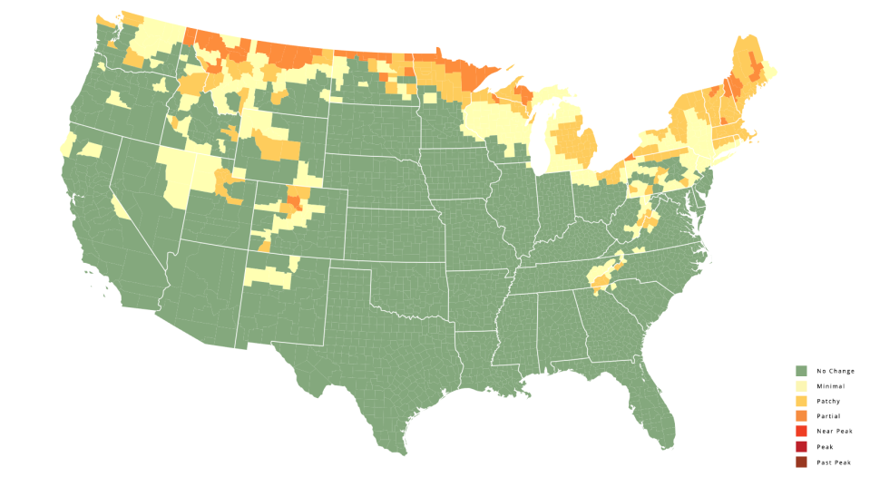 New Hampshire fall color forecast 2024 Map, weekbyweek predictions