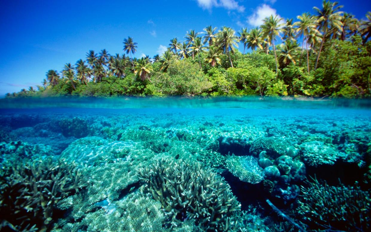 World Bank predicts climate change could displace 48.4 million in the Pacific and East Asia by 2050 - Getty Images Contributor/Getty Images Contributor