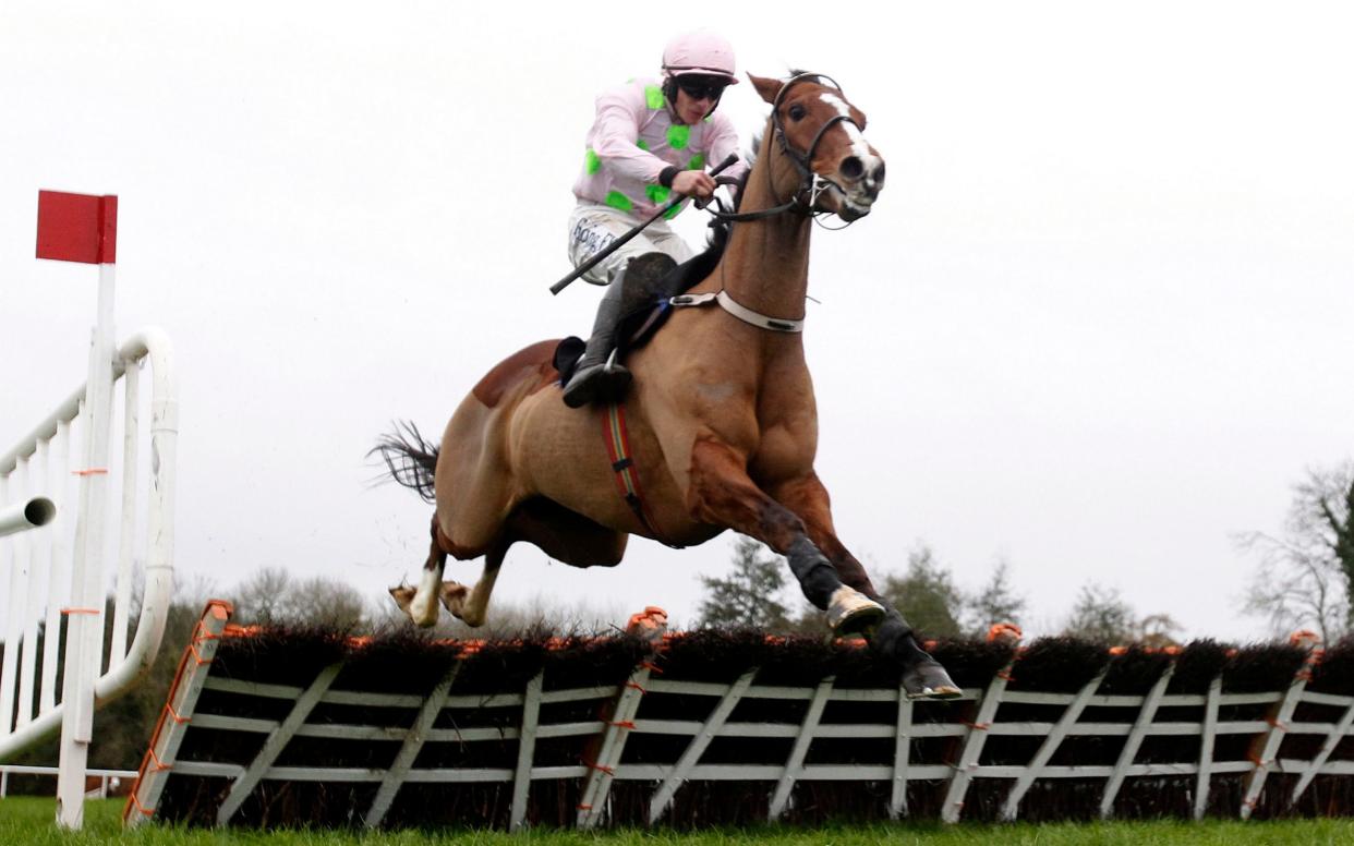 Back with a bang: Faugheen ridden by Paul Townend clears the last on the way to winning the Unibet Morgiana Hurdle at Punchestown, and they were cheering all the way over in Cheltenham - PA