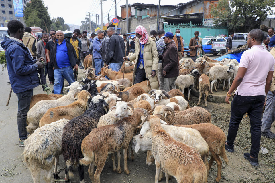 Traders sell sheep in Sholla Market, the day before the Ethiopian New Year, in Addis Ababa, Ethiopia Saturday, Sept. 10, 2022. Once home to one of Africa's fastest growing economies, Ethiopia is struggling as the war in its Tigray region has reignited and Ethiopians are experiencing the highest inflation in a decade, foreign exchange restrictions and mounting debt amid reports of massive government spending on the war effort. (AP Photo)