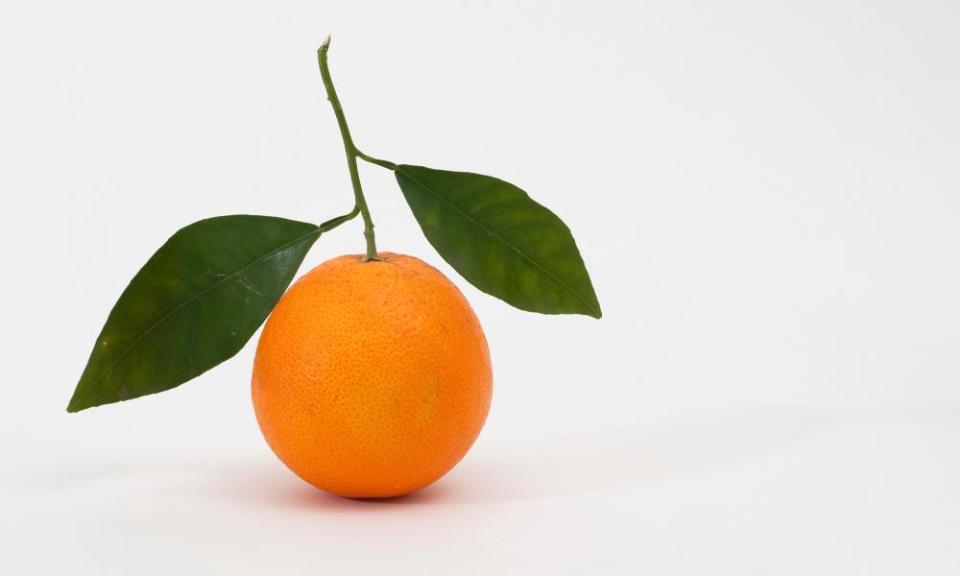 Tangerine against white background