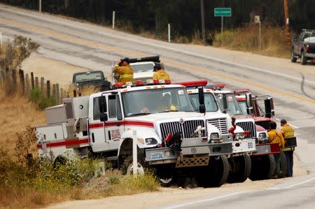 Fire crews from Nevada and California wait along the side of State Route 1 near Palo Colorado during the Soberanes Fire north of Big Sur, California, U.S. July 30, 2016. REUTERS/Michael Fiala