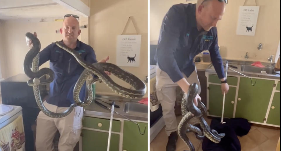 Stuart McKenzie from Sunshine Coast Snake Catchers 24/7 said he'd never come across two snakes mating behind a microwave before. Source: Facebook