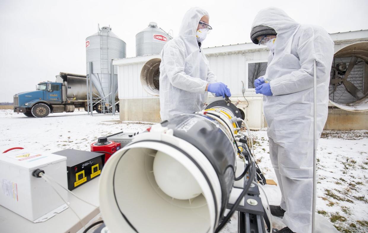 <span class="caption">Researchers Tian Xia and Zijie Lin test a plasma prototype for preventing airborne transmission of porcine reproductive and respiratory syndrome virus at a Michigan pig farm.</span> <span class="attribution"><a class="link " href="https://www.flickr.com/photos/michigan-engineering/46235948935/in/album-72157706974396104/" rel="nofollow noopener" target="_blank" data-ylk="slk:Robert Coelius/Michigan Engineering, Communications & Marketing;elm:context_link;itc:0;sec:content-canvas">Robert Coelius/Michigan Engineering, Communications & Marketing</a>, <a class="link " href="http://creativecommons.org/licenses/by-nd/4.0/" rel="nofollow noopener" target="_blank" data-ylk="slk:CC BY-ND;elm:context_link;itc:0;sec:content-canvas">CC BY-ND</a></span>