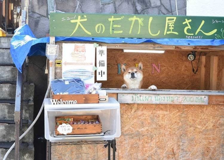 重新裝潢成駄菓子店