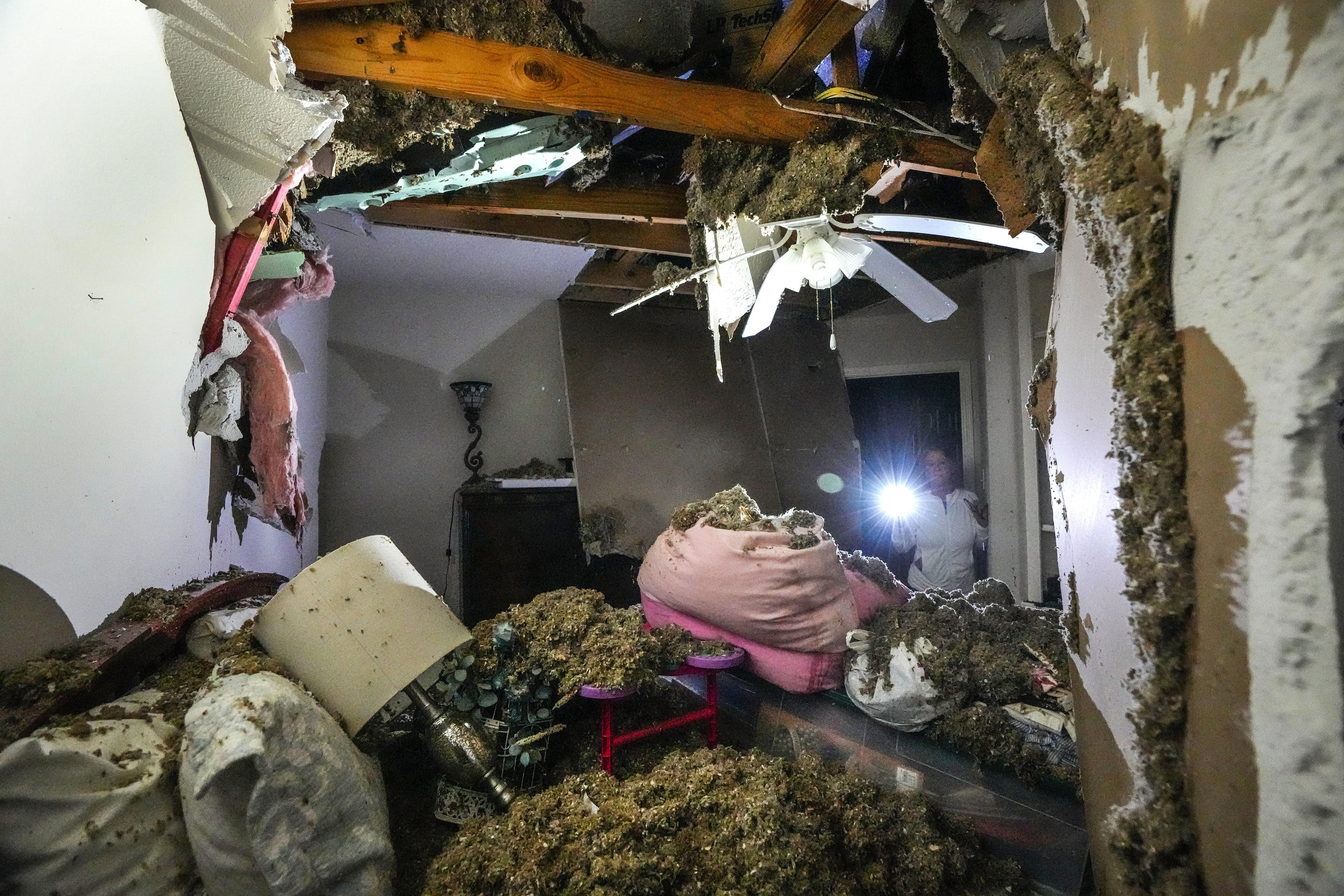 A woman surveys the damage to her home after several trees fell on it.