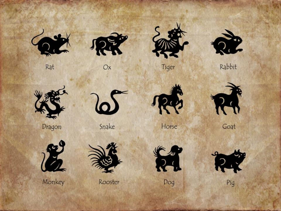 The cycle of the Chinese zodiac follows the lunar calendar. Delphotostock – stock.adobe.com