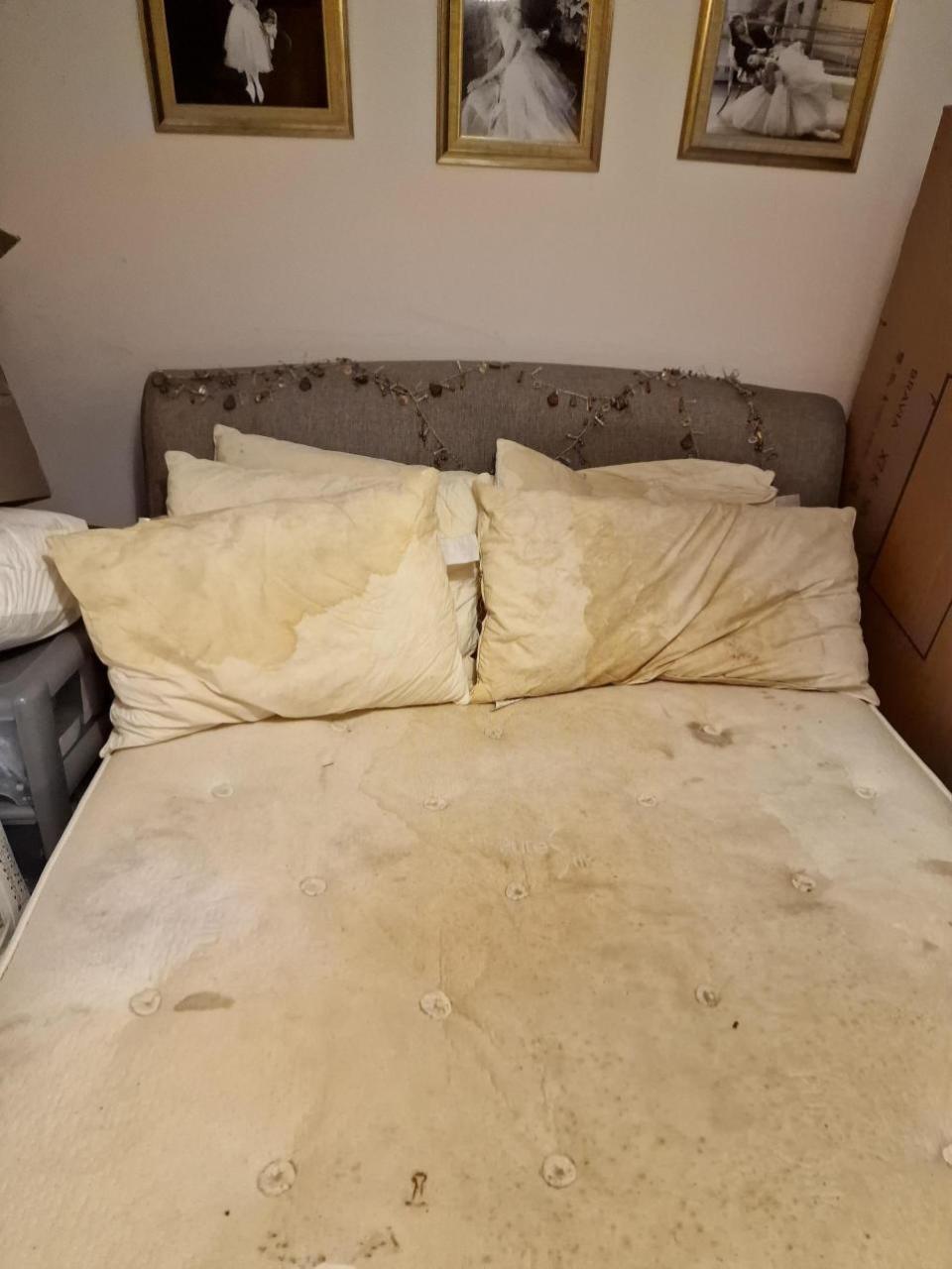Stourbridge News: The bedroom which Rae Boxley says she can no longer sleep in due to the mouldy conditions